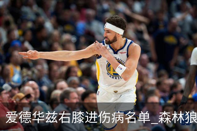 爱德华兹右膝进伤病名单 森林狼战骑士存变数